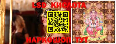 прущие грибы Краснокаменск