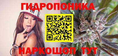 дмт Краснодар