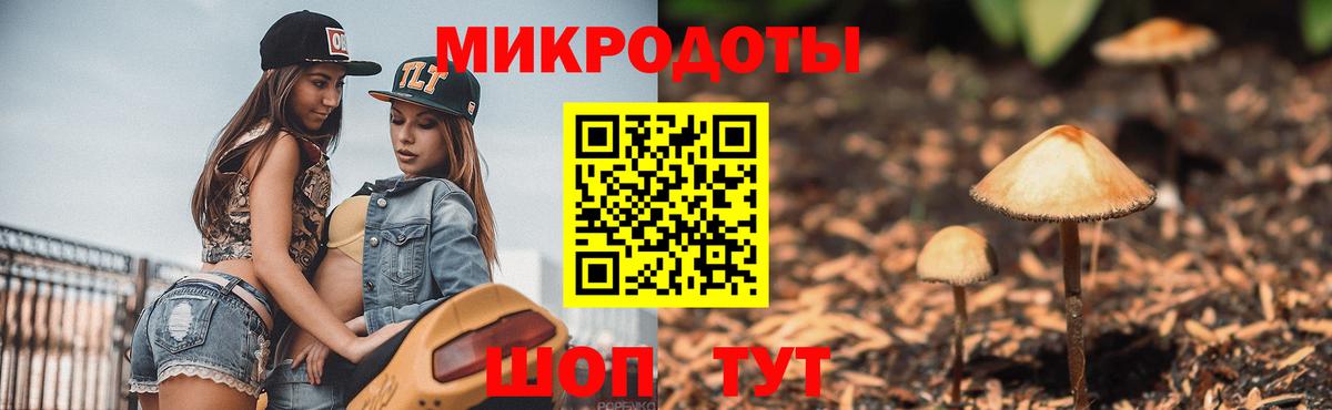 Псилоцибиновые грибы Psilocybe  Вход с VPN  Тимашёвск  Галлюциногенные грибы Psilocybine cubensis 